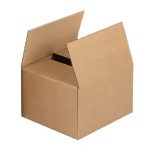 Carton Box / Cargo Box Small