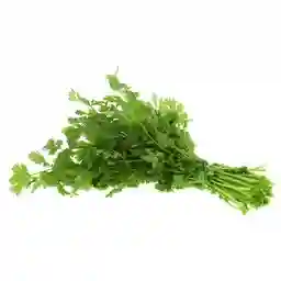 Coriander Bunch