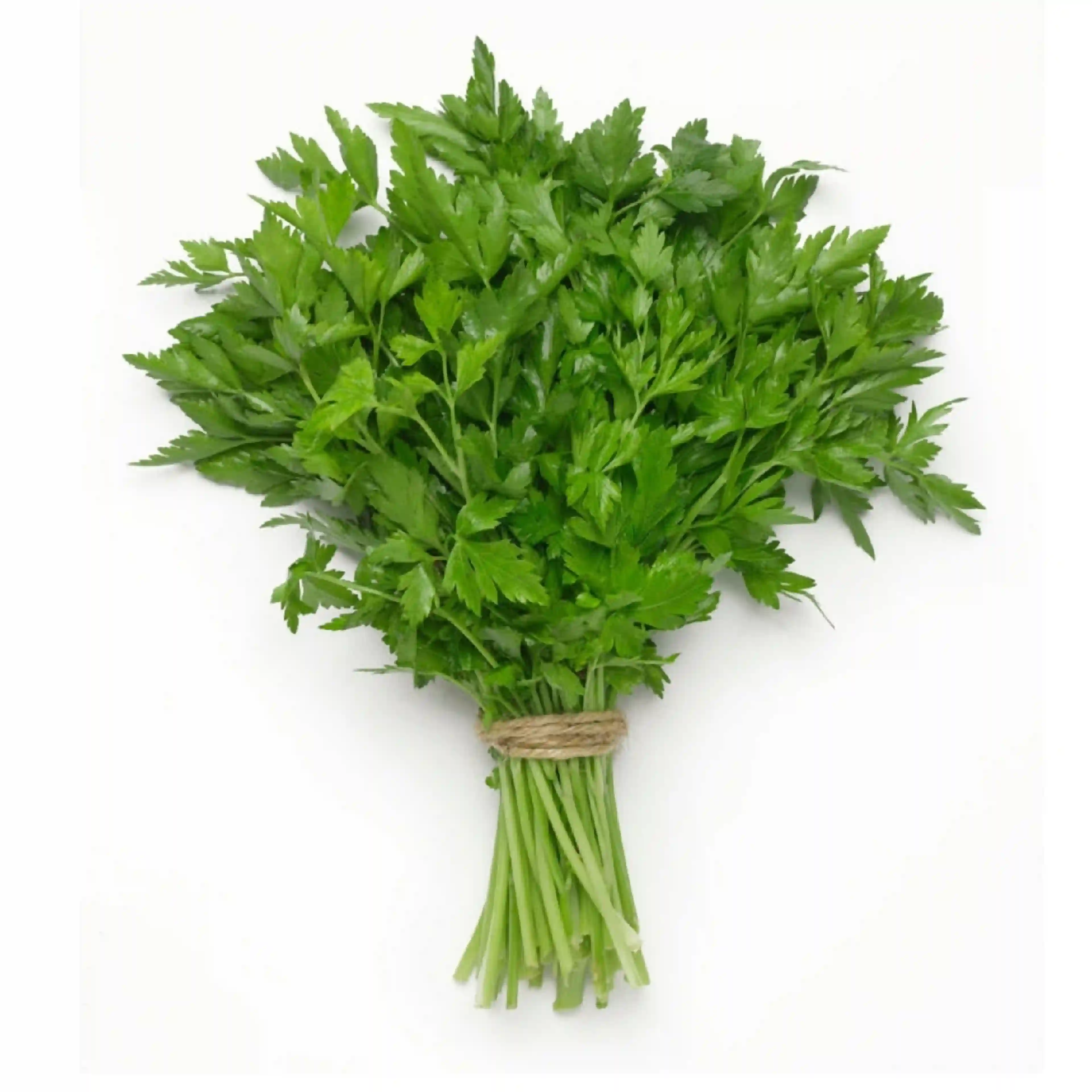 Parsley Bunch