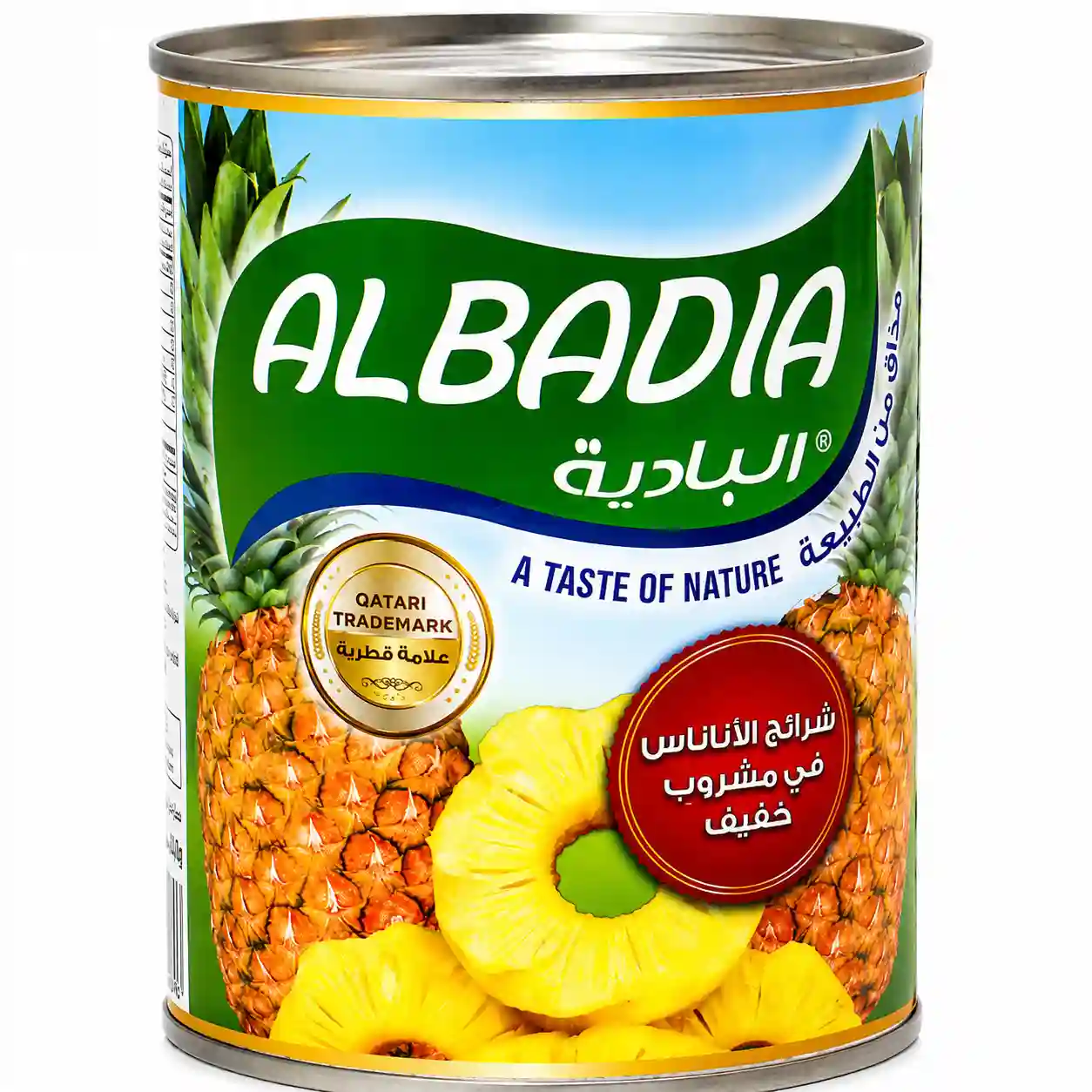 Albadia Pineapple Slices in Syrup 565GM