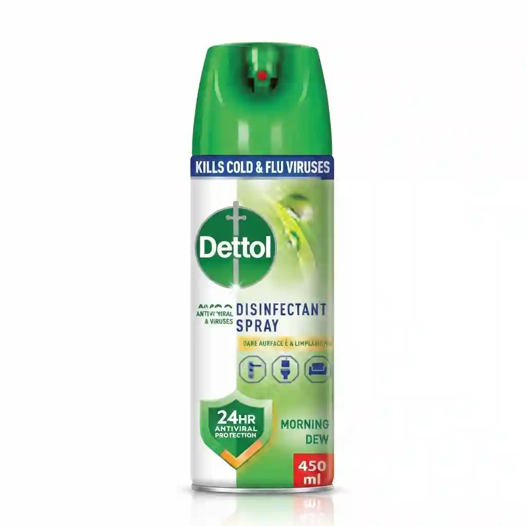 Dettol Spray Morning Dew 450ML