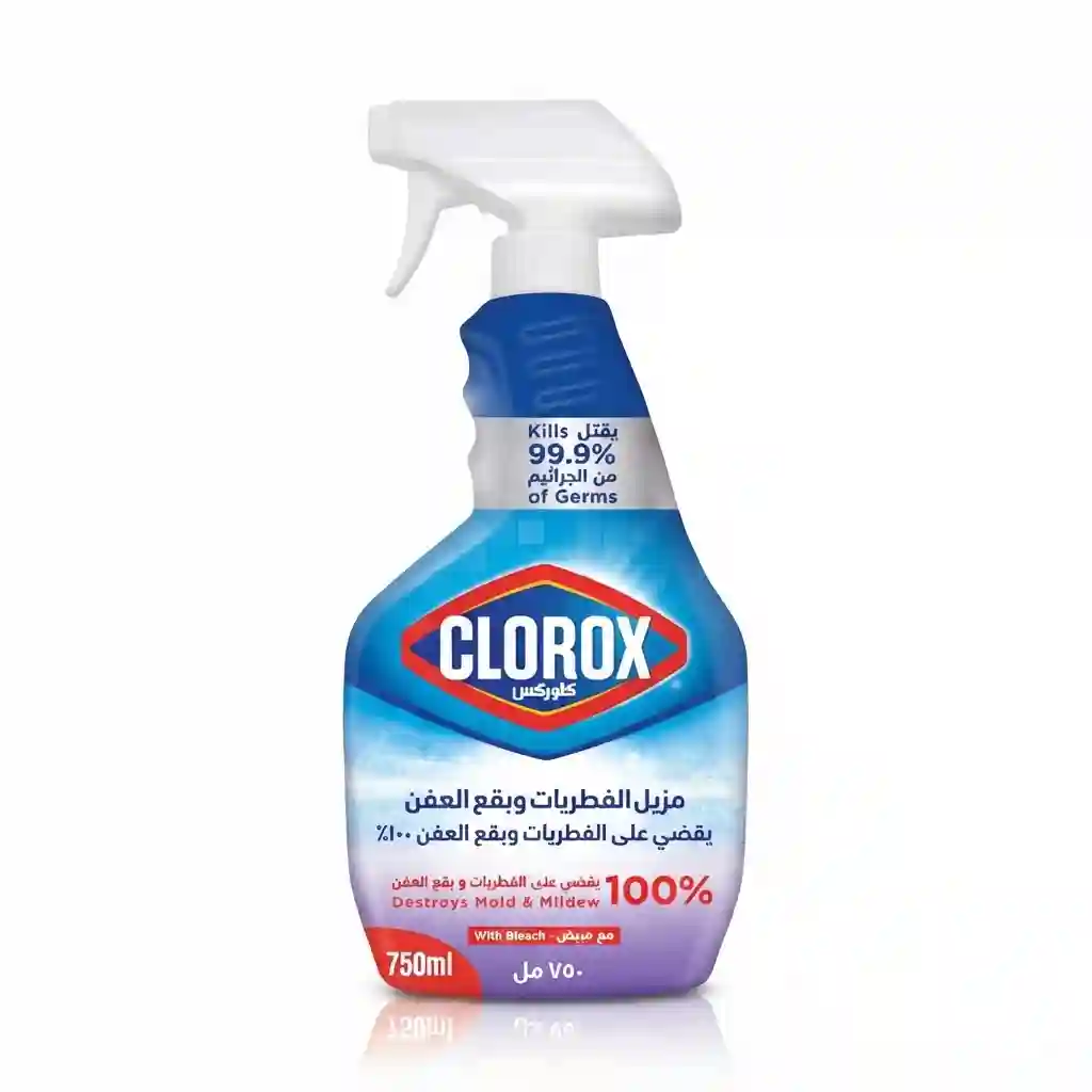 Clorox Mold&mildew Remover With Bleach 750ML