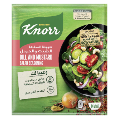 KNORR SALAD SEASONING DILL & MUSTARD, 40G