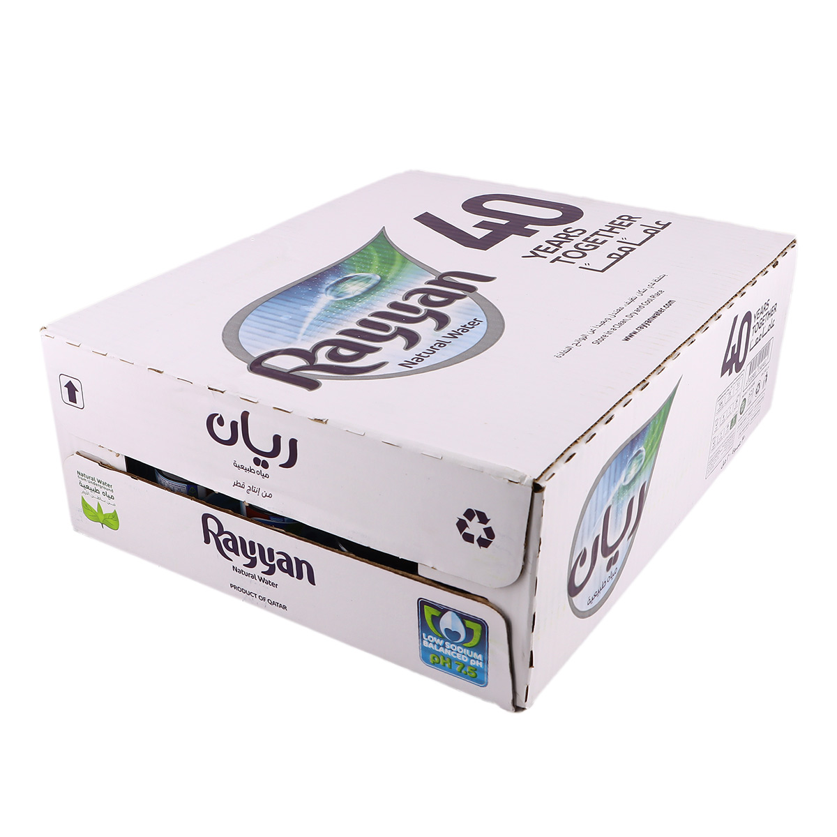Rayyan Natural Water Box Pet Bottle, 30x330ml