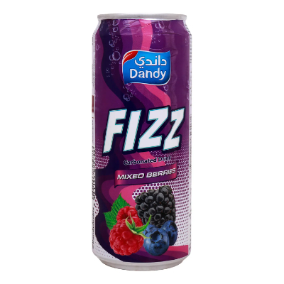 DANDY FIZZ MIXED BERRIES CARBONATED DRINK, 330ML