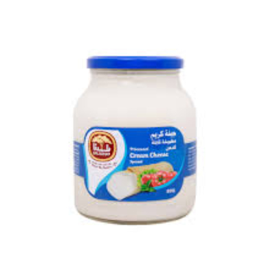BALADNA FULL FAT PROCESSED SPREADABLE CREAM CHEESE, 900G