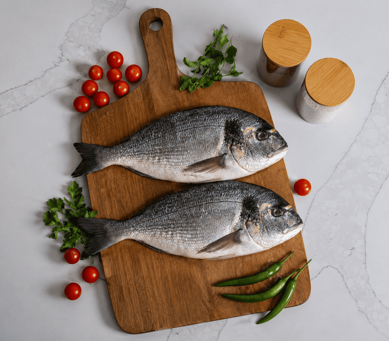 Sea Bream Fish