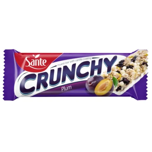 Sante Plums and Yogurt Coating Crunchy Bar, 40g