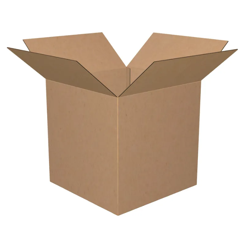 Carton Box / Cargo Box Xl