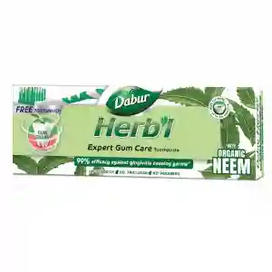 Dabur Herbal Gum Care T/Paste+brush 150GM