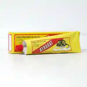 Atrarat Non Poisonous Glue