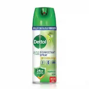 Dettol Spray Morning Dew 450ML