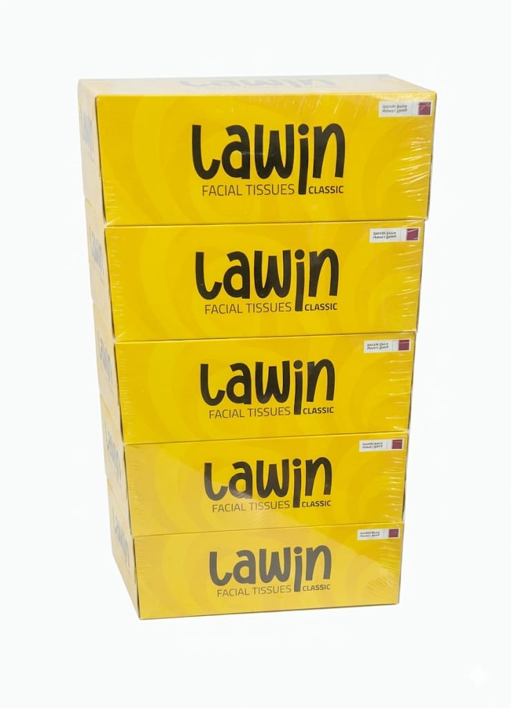 Lawin Classic Facial Tissues 200*2 Ply