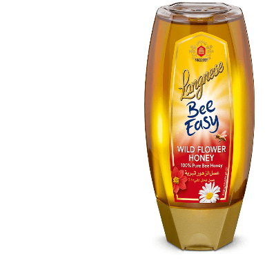Langnese Wild Flower Honey Bee 500 Gm