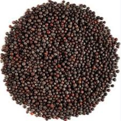 AL JAZEERA MUSTARD SEED 500G