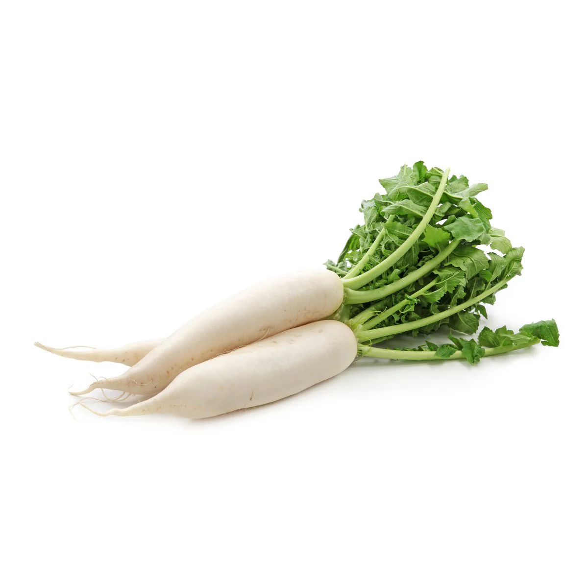 white radish 1kg