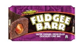 Fudgee Barr Salted Caramel Cream-filled Cake Bar, 10x38g